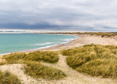 Beach in the national Park Thy