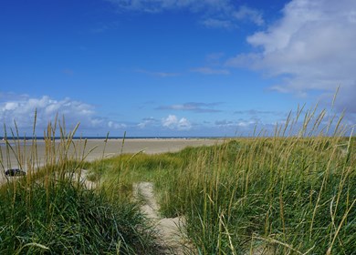 Blick über die Dünengräser auf den Lakolk Strand auf Römö in Dänemark