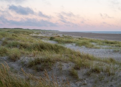 Coastal Dunes in Thy National Park, Denmark