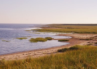 Der Strand bei Havneby auf Römö in Dänemark an der Nordsee