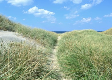 Küstenlandschaft im nationalpark thy, nord jütland