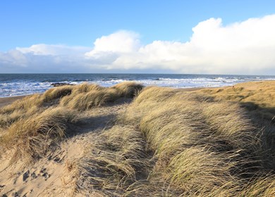 North Sea coast in Agger, Thy, Denmark