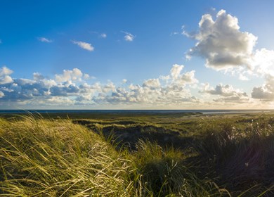 Panoramalandschaft mit Blick von den Dünen auf das Meer bei Sonnenuntergang auf der schönen Insel Fano in Dänemark