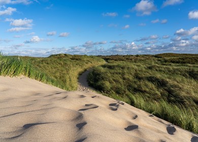 Scenic view of an open grassy field and sand dune at Thy National Park in Denmark